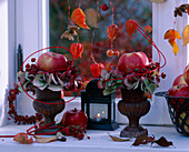 Fensterdeko: Rosa (Hagebutten), Hydrangea (Hortensien), Malus (Äpfel), Physalis (Lampionblume)