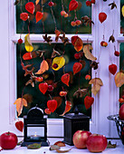 Window decoration Pysalis lantern flower, Malus ornamental apples and apples, Fagus fruit stalks
