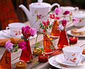 Swing vases as table decoration: Cyclamen persicum (Cyclamen), Jasminum polyanthum