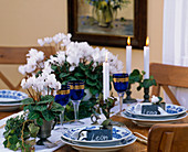 Festliche Tischdeko mit Cyclamen persicum (Alpenveilchen)