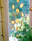 Lemon window decoration