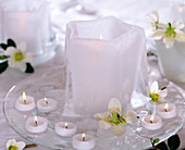Eisstern als Kerzenhalter auf gläserner Kuchenplatte, Helleborus niger (Christrose)