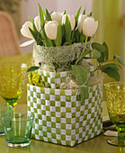 Tulipa 'Inzell' (Tulpe) in grün-weiß-karierten Plastikkörben
