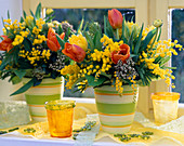 Tulipa 'Monarch' und 'Monte Carlo'/ Tulpen, Acacia / Mimosen,