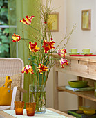 Tulipa (parrot tulips), Cornus stolonifera 'Flaviramea' (yellow wood dogwood)