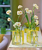 Daffodils in square glass (2/2)