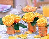 Rosa 'Circus' (Roses) in small jars with fabric cover