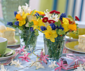 Narcissus, muscari (grape hyacinth), bellis