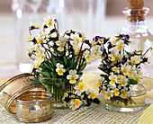 Viola tricolor (field pansies as mini bouquets)