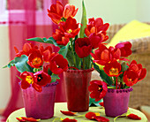 Tulipa (Tulpen) in textilbezogenen Vasen mit Perlenrand
