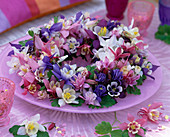 Aquilegia (columbine flowers) as a plate wreath