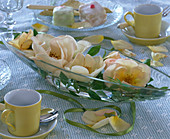 Rosa 'Frühlingsgold' (Rose flowers in elongated glass bowl)