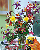 Various columbines (Aquilegia hybrids) in a water glass