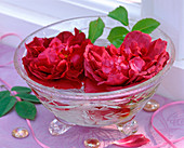 Rosa 'Chianti' (English rose flowers) in glass bowl)