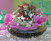 Nigella (Maiden of the Field), Gypsophila (Gypsophila)