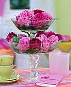 Glasetagere mit rosa (Blüten von historischen Rosen)
