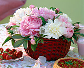 Paeonia (white and pink peonies) in the basket