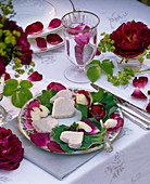 Rosa 'Chianti' (English fragrant rose), Alchemilla (lady's mantle)