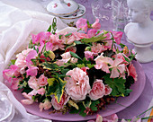Rosa 'Bonica' (roses), Lathyrus (sweet peas)