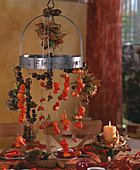 Autumnal table decoration on a drying rack: Physalis (lanterns), Rosa (rose hips)