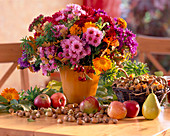 Aster autumn burnet, Calendula Marigold, Zinnia, Chrysanthemum, Euphorbia