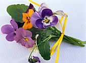 Viola cornuta Sorbet 'Purple Babyface', 'Lilac Ice', 'Orange Duet'.