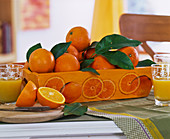 Citrus sinensis (Orange with leaves)