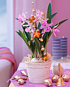 Cattleya orchid, tree ornament, white pot