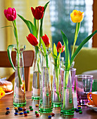 Tulipa (tulip) in tall glass vases, Smarties