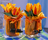 Tulipa (Tulpen) mit Gläsern in Viereckgläser gestellt