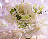 Hippeastrum (Amaryllis), Narcissus (Tazett daffodils), in crystal bowl, tea light