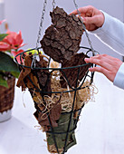 Hanging Basket mit Weihnachtsstern: 1/3 Hängekorb mit Blättern, Rinde und Holzwo