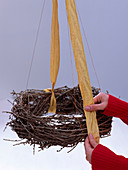 Hängender Lärchenkranz (3/5) Larix (Lärchenkranz), Draht mit goldenem Schleifenband