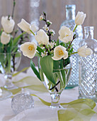 Tulipa (white tulips)