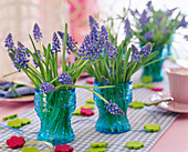 Muscari (Traubenhyazinthen) in blauen Gläsern