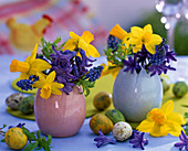Narcissus (daffodils), Hyacinthus (hyacinths)
