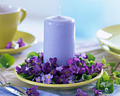 Viola odorata (fragrant violet), myosotis (forget-me-not)