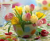 Tulipa (white, yellow and pink tulips)