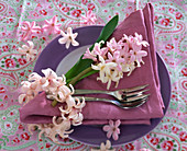 Hyacinthus (pink and white hyacinth)