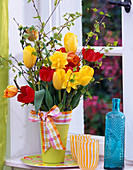 Tulipa (gelbe, rote, orange Tulpen)