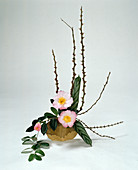 Ikebana with higo-Camellia