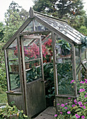 Greenhouse