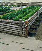 Early harvest with raised beds