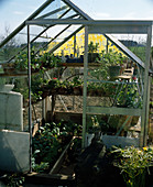 Greenhouse