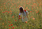 Flower meadow girl picking poppies