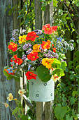 Colorful bouquet with edible flowers hung on posts