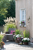 Terrasse mit weissen Chrysanthemen und Gräsern