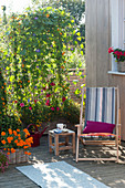 Homemade wooden box with climbing plants as privacy screen