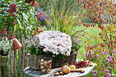 Herbstarrangement auf Tisch am Gartenzaun