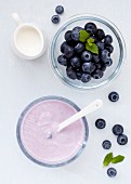 Fresh Blueberries and Berry Yoghurt